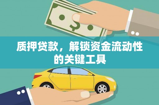 海安质押贷款，解锁资金流动性的关键工具