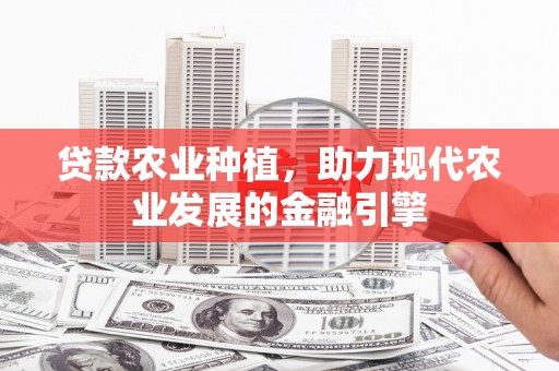 海安贷款农业种植，助力现代农业发展的金融引擎