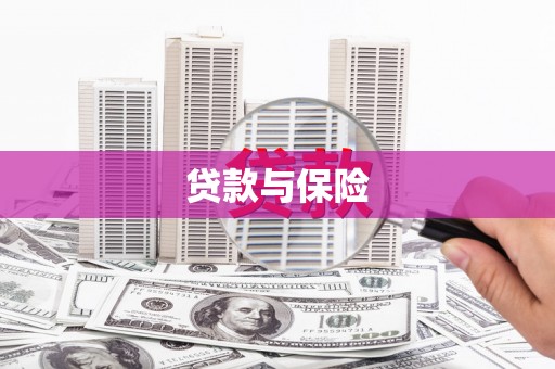 海安贷款与保险