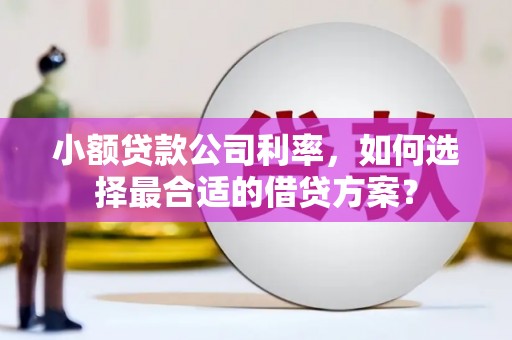 海安小额贷款公司利率，如何选择最合适的借贷方案？