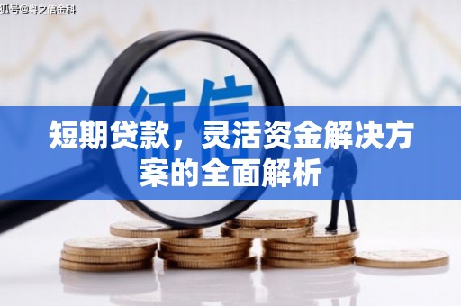 海安短期贷款，灵活资金解决方案的全面解析
