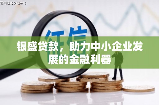 海安银盛贷款，助力中小企业发展的金融利器