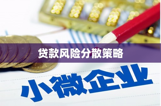 海安贷款风险分散策略