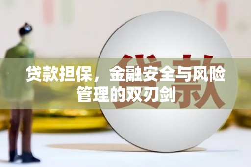 海安贷款担保，金融安全与风险管理的双刃剑