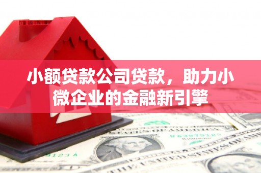 海安小额贷款公司贷款，助力小微企业的金融新引擎