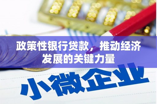 海安政策性银行贷款，推动经济发展的关键力量