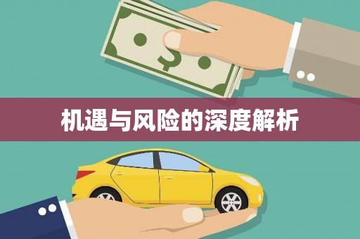 海安机遇与风险的深度解析