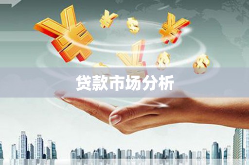 海安贷款市场分析