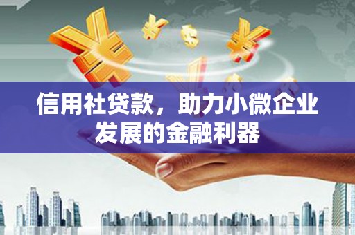 海安信用社贷款，助力小微企业发展的金融利器