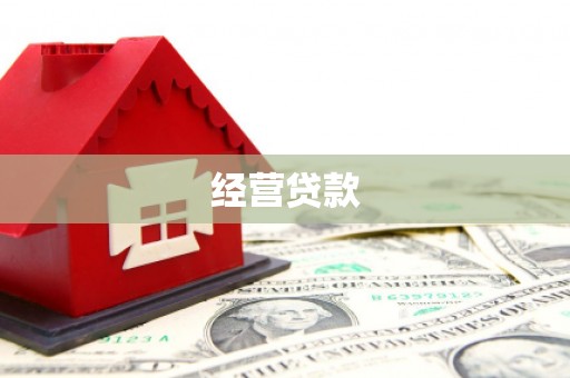 海安经营贷款