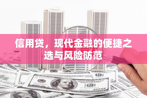 海安信用贷，现代金融的便捷之选与风险防范