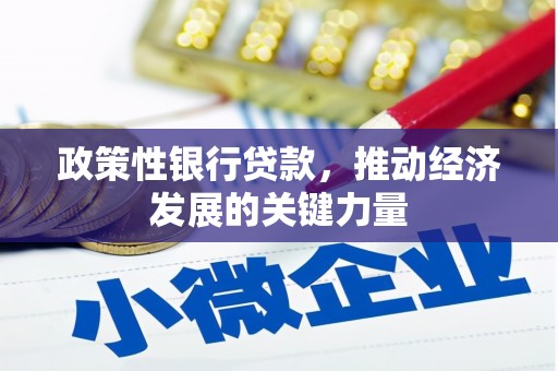 海安政策性银行贷款，推动经济发展的关键力量