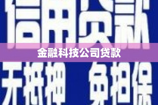 海安金融科技公司贷款