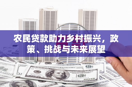 海安农民贷款助力乡村振兴，政策、挑战与未来展望