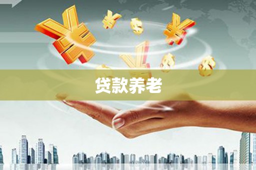 海安贷款养老