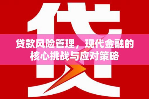 海安贷款风险管理，现代金融的核心挑战与应对策略