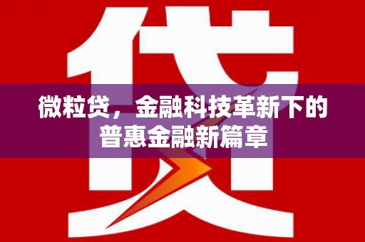 海安微粒贷，金融科技革新下的普惠金融新篇章