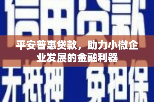 海安平安普惠贷款，助力小微企业发展的金融利器