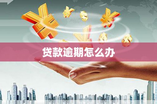 海安贷款逾期怎么办