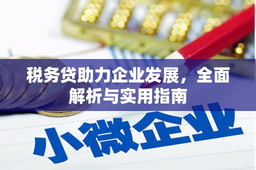 海安税务贷助力企业发展，全面解析与实用指南