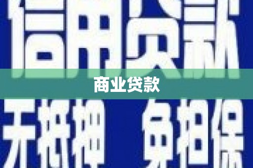 海安商业贷款