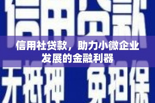 海安信用社贷款，助力小微企业发展的金融利器