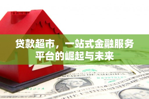 海安贷款超市，一站式金融服务平台的崛起与未来