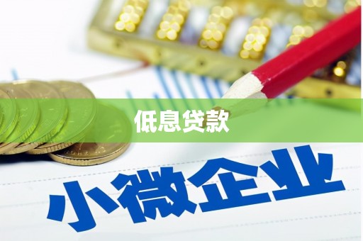 海安低息贷款