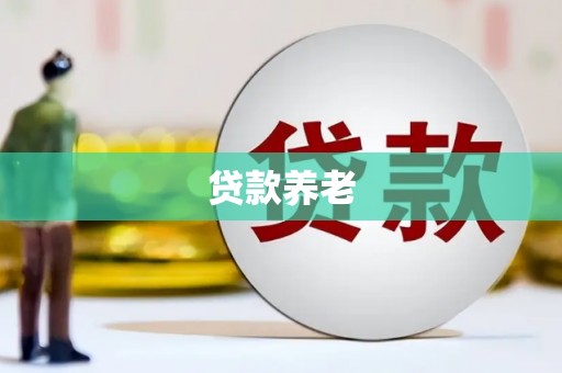 海安贷款养老