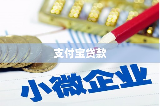 海安支付宝贷款