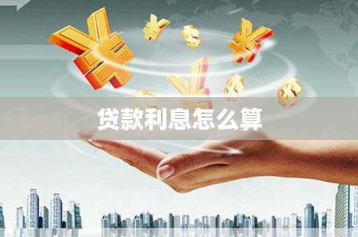 海安贷款利息怎么算