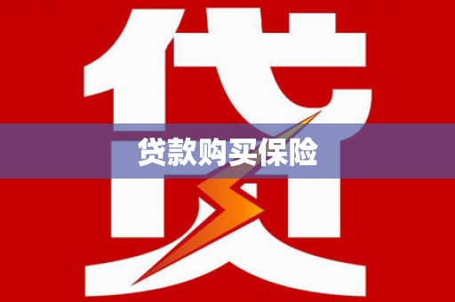 海安贷款购买保险