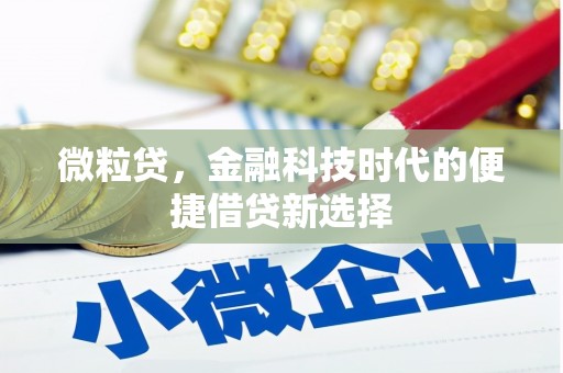 海安微粒贷，金融科技时代的便捷借贷新选择