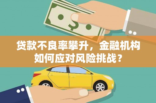 海安贷款不良率攀升，金融机构如何应对风险挑战？
