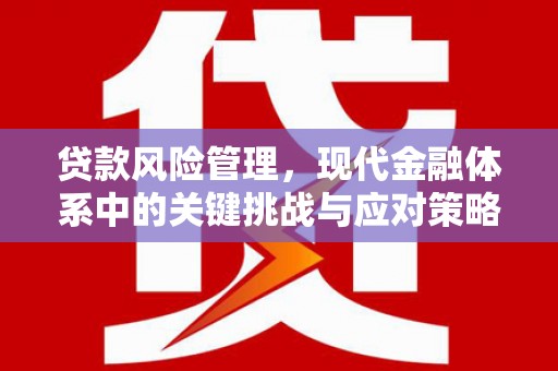 海安贷款风险管理，现代金融体系中的关键挑战与应对策略