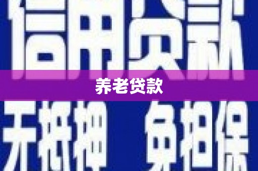 海安养老贷款