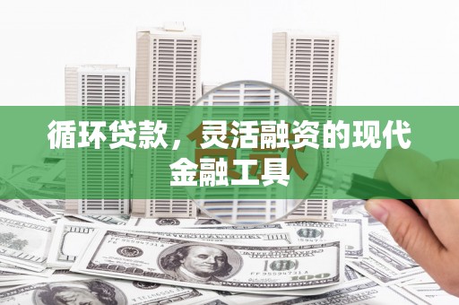 海安循环贷款，灵活融资的现代金融工具