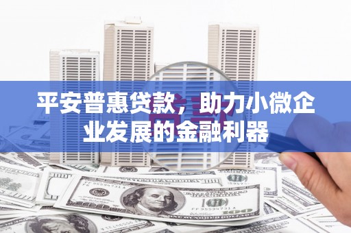 海安平安普惠贷款，助力小微企业发展的金融利器