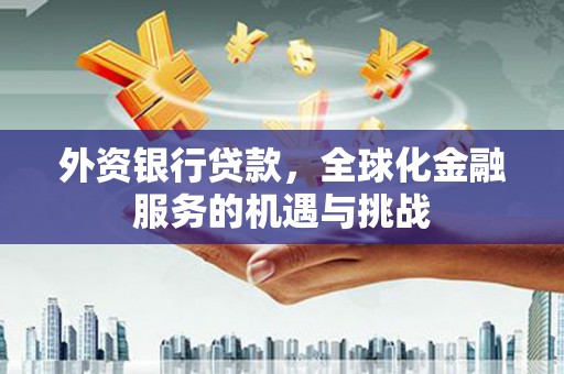 海安外资银行贷款，全球化金融服务的机遇与挑战