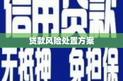 海安贷款风险处置方案