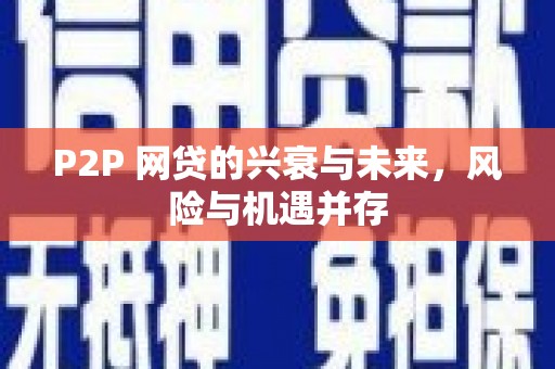 海安P2P 网贷的兴衰与未来，风险与机遇并存