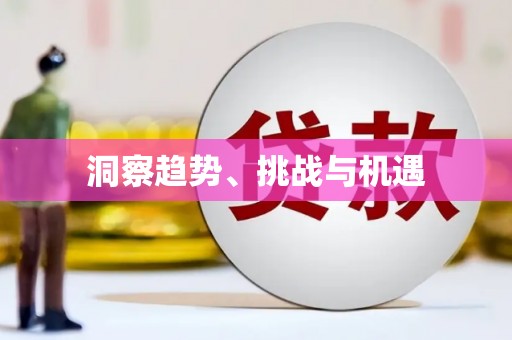 海安洞察趋势、挑战与机遇