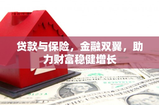 海安贷款与保险，金融双翼，助力财富稳健增长