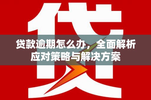海安贷款逾期怎么办，全面解析应对策略与解决方案