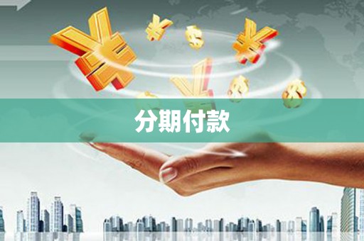 海安分期付款