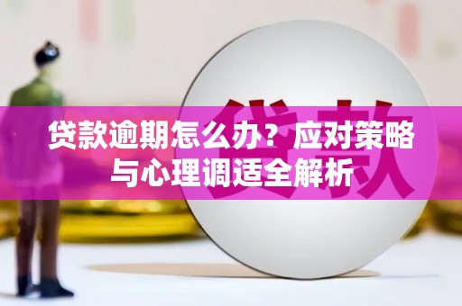 海安贷款逾期怎么办？应对策略与心理调适全解析