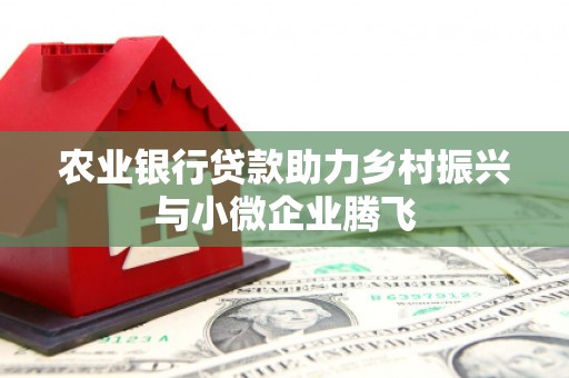 海安农业银行贷款助力乡村振兴与小微企业腾飞