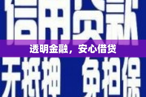海安透明金融，安心借贷