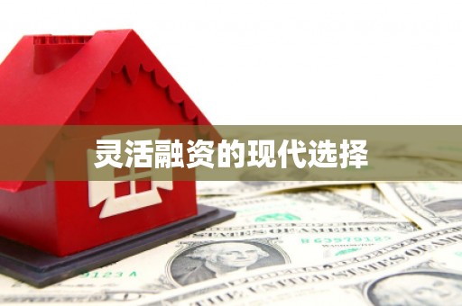 海安灵活融资的现代选择