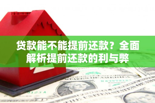 海安贷款能不能提前还款？全面解析提前还款的利与弊